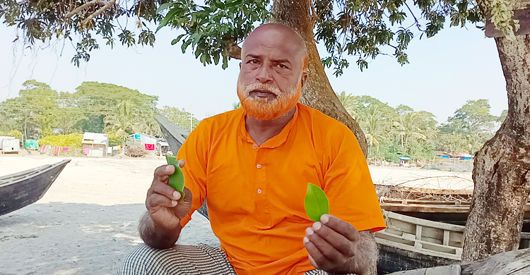 পাতায় সুর তুলে মন মাতান বাউল রেজাউল করিম শাহ