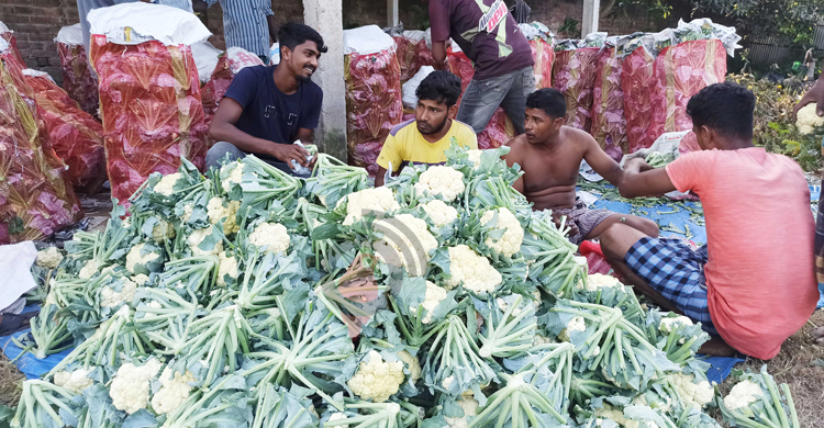 শীতের সবজিতে ভরপুর বাজার, দাম চড়া