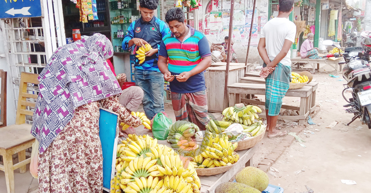 মৌলভীবাজারে বেড়েছে কলার দাম