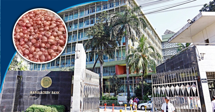 পেঁয়াজের এলসির সুদ ৯ শতাংশের বেশি না রাখার নির্দেশ
