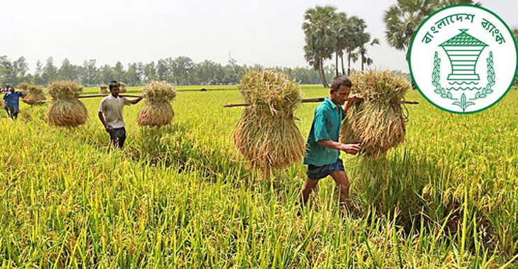 কৃষিঋণ বিতরণের সঙ্গে বেড়েছে আদায়