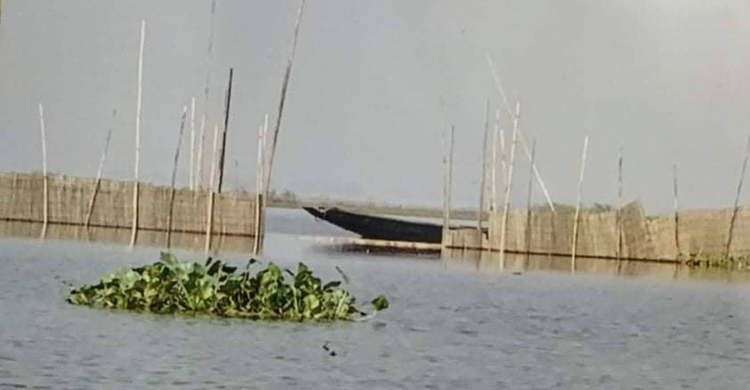 সরকারি বিল দখল করে দেড় কোটি টাকার মাছ আহরণ!
