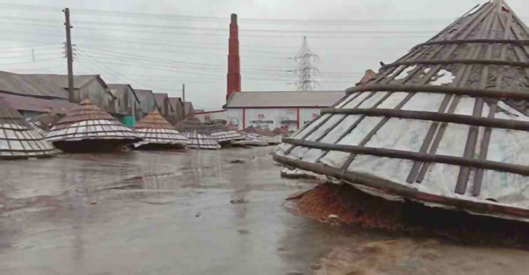 কালো তালিকাভুক্ত হচ্ছে ব্রাহ্মণবাড়িয়ার ১৬ চাতাল কল