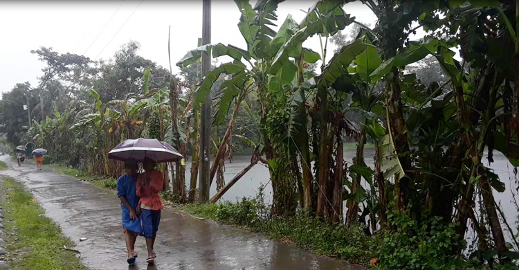 বৃষ্টি বাড়তে পারে রংপুরে
