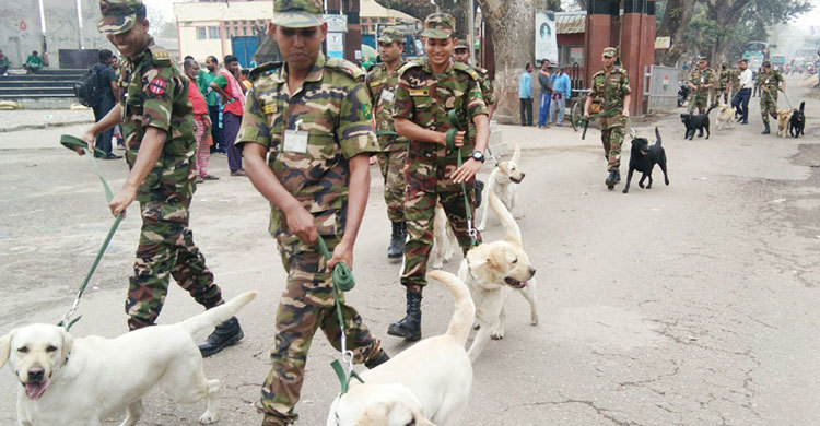 ভারতের উপহার আরও ১০টি কুকুর এলো বাংলাদেশে