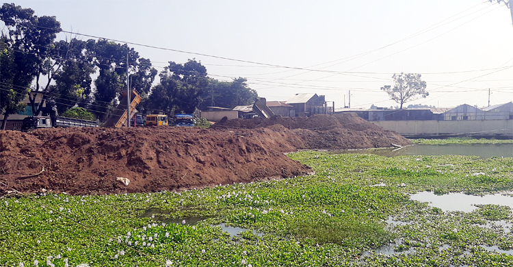 জলাশয় ভরাট করে শিল্প গবেষণা ভবন