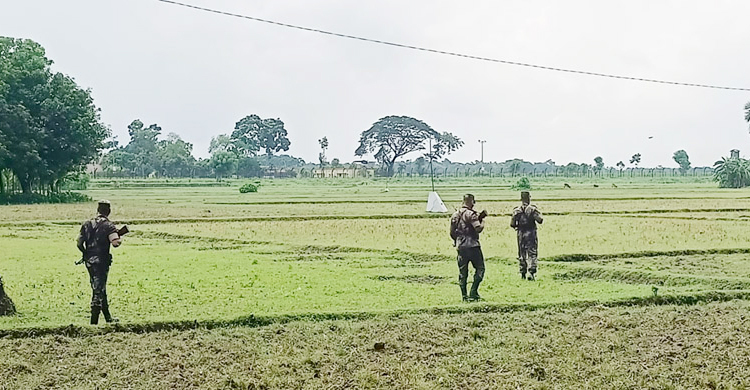 কোরবানির চামড়া পাচার রোধে বেনাপোল-শার্শা সীমান্তে সতর্কতা