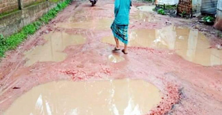 শার্শা-কাশিপুর সড়ক যেন মৃত্যুফাঁদ
