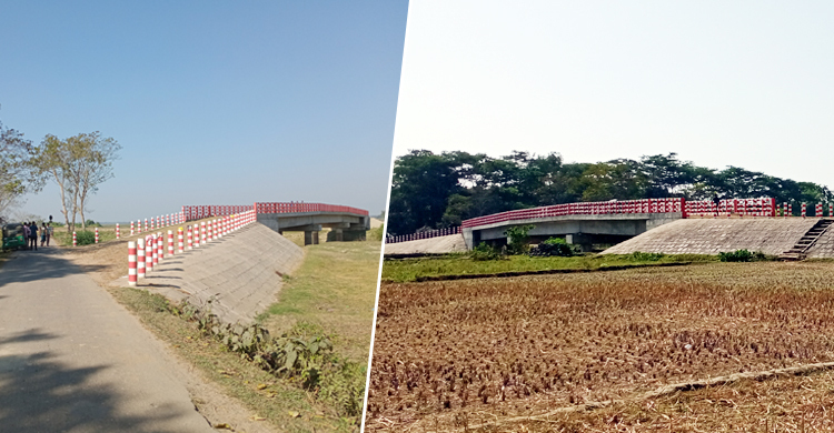 সেতু যখন গলার কাটা