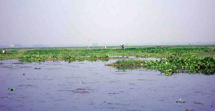 পিরোজপুরে পানিতে ডুবে দুই বোনের মৃত্যু