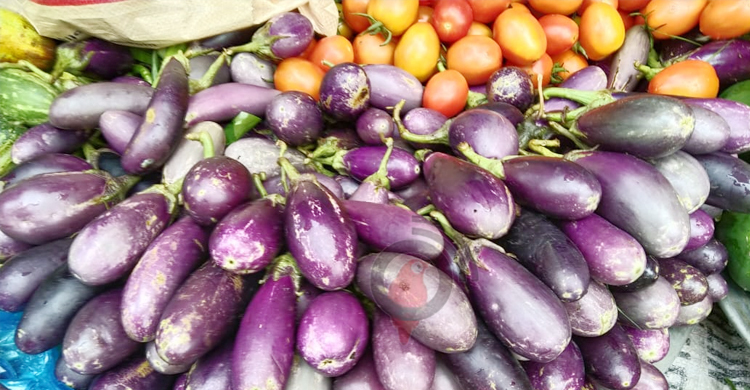 বেগুন সকালে একশ দুপুরে উধাও