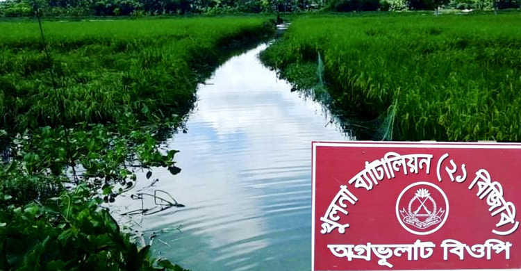 অবৈধ পথে ভারতে প্রবেশের সময় ৫ জন আটক