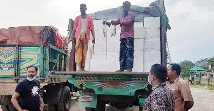 বেনাপোল দিয়ে এক হাজার ৮৭৫ মেট্রিক টন ইলিশ গেল ভারতে