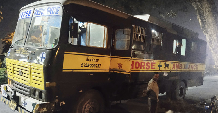 ভারত থেকে আনা হলো ৬টি ঘোড়া, দাম সাড়ে ৫৫ লাখ টাকা