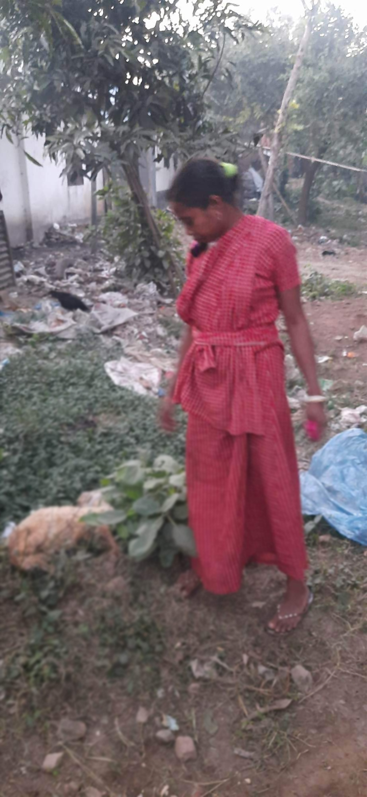 রাজশাহীতে বিনামূল্যে বিতরণের ৪০ ভেড়ার মৃত্যু