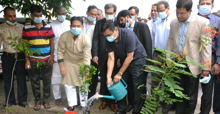 প্রধানমন্ত্রীর জন্মদিন উদযাপন বাফুফের