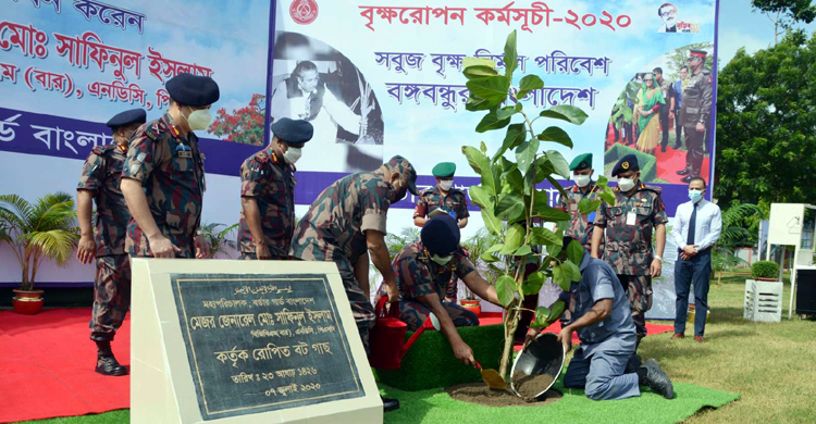 মুজিববর্ষ উপলক্ষে বিজিবির বৃক্ষরোপণ