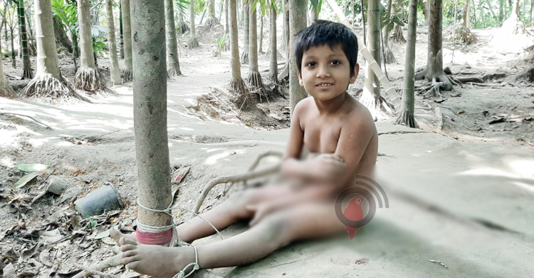 সাত বছরেই রশিতে বাঁধা কাওছারের জীবন