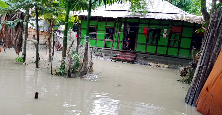 জোয়ারের পানিতে কয়েকদিন ধরে প্লাবিত হচ্ছে ভোলার ৩৫ গ্রাম