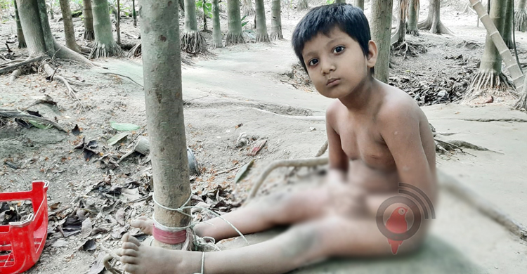 সাত বছরেই রশিতে বাঁধা কাওছারের জীবন