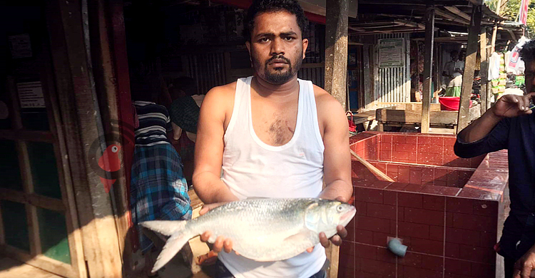 এক ‘রাজা ইলিশ’ ২৩৮০ টাকায় বিক্রি