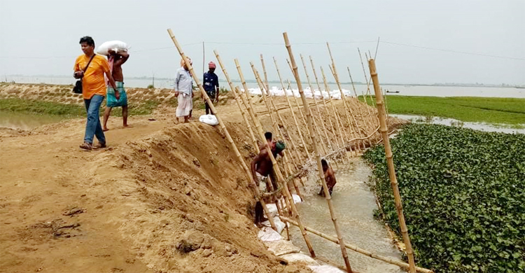 বাড়ছে মেঘনার পানি, আতঙ্কে জোয়ানশাহী হাওরের ৩০ হাজার কৃষক