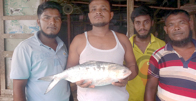 ভোলায় এক ইলিশ ৪২০০ টাকায় বিক্রি
