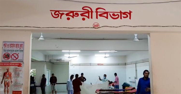 ভোলায় কুকুরের কামড়ে আহত অর্ধশতাধিক