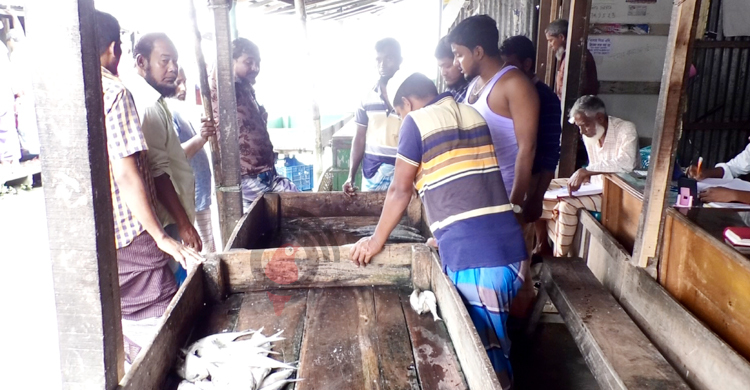 দিন ভালো যাচ্ছে না ভোলার ইলিশ শিকারিদের