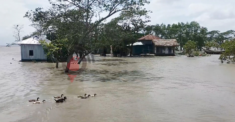 ভোলায় জোয়ারের পানিতে প্লাবিত ৩৫ গ্রাম, ভেসে গেছে পুকুর-ঘেরের মাছ