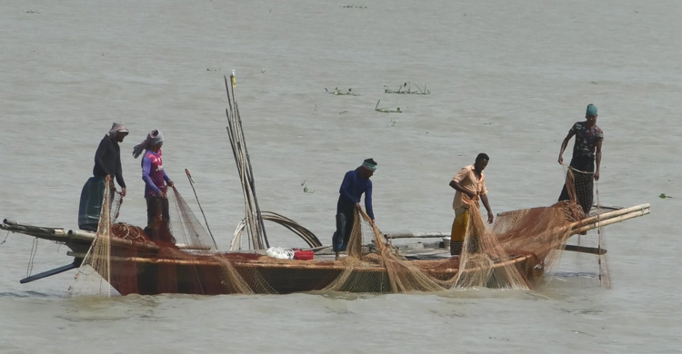 ভরা মৌসুমেও মিলছে না কাঙ্ক্ষিত ইলিশ, বিপাকে ভোলার জেলেরা
