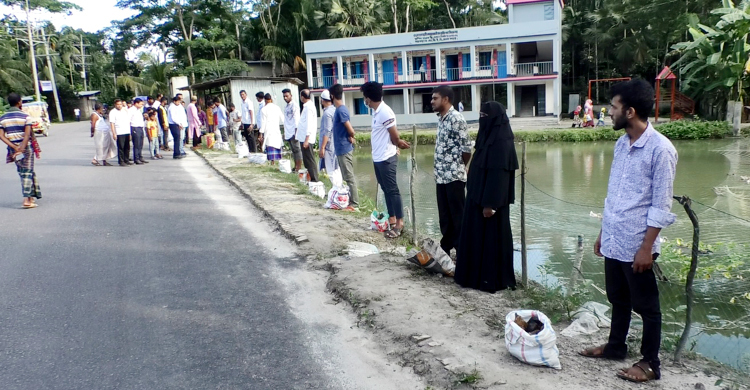 ভোলায় শর্তে মুক্তি পাওয়া ২০ আসামি সড়কের পাশে লাগালেন তালবীজ