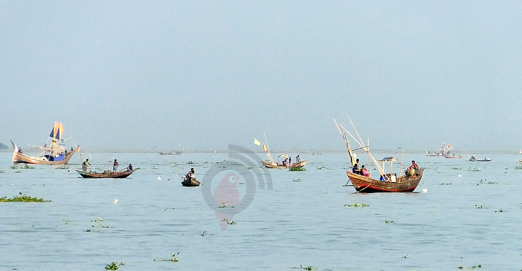 মেঘনা-তেঁতুলিয়ায় ইলিশ-পাঙাশ কোনোটাই মিলছে না