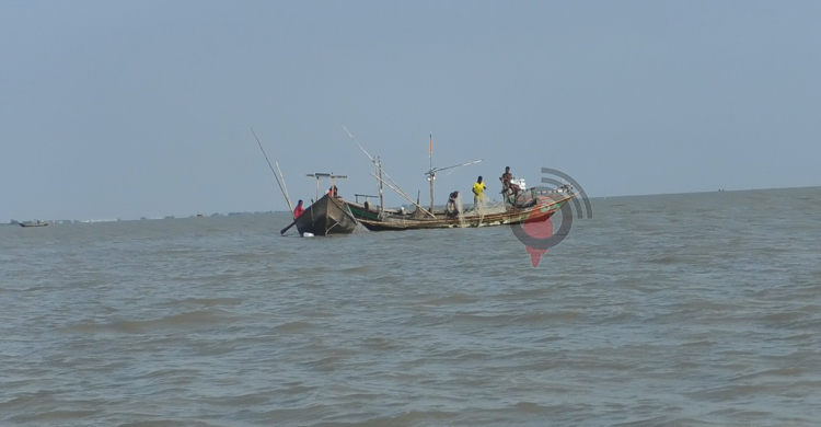 ভরা মৌসুমেও ইলিশের হাহাকার, তবুও আশায় জেলেরা