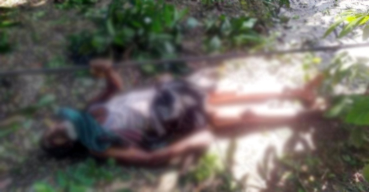 ভোলায় বিদ্যুৎস্পৃষ্টে কৃষকের মৃত্যু