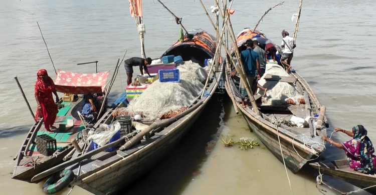 ২২ দিন নিষিদ্ধ ইলিশ ধরা, তীরে ফিরছেন জেলেরা