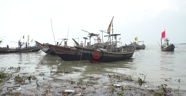 শঙ্কা কাটিয়ে ফের সাগরে মাছ শিকারে জেলেরা