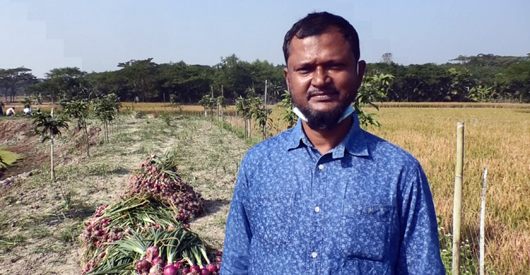 পেঁয়াজ চাষে চেয়ারম্যানের চমক