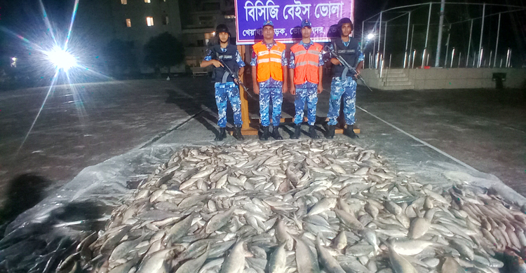 ভোলায় নিষেধাজ্ঞার শেষ দিনেও ১২০০ কেজি ইলিশ জব্দ, ৩১ জেলে আটক