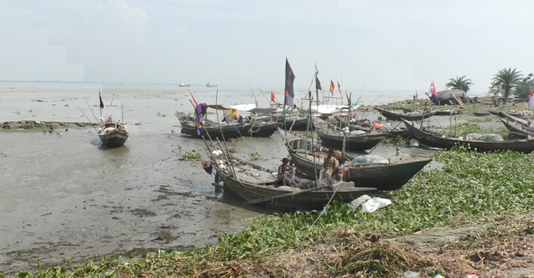মেঘনা-তেঁতুলিয়া নদীতে ইলিশ নেই, পালিয়ে বেড়াচ্ছেন জেলেরা