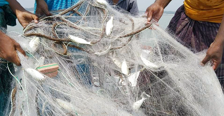 ভোলায় ইলিশ ধরায় ১৭ জেলের জরিমানা