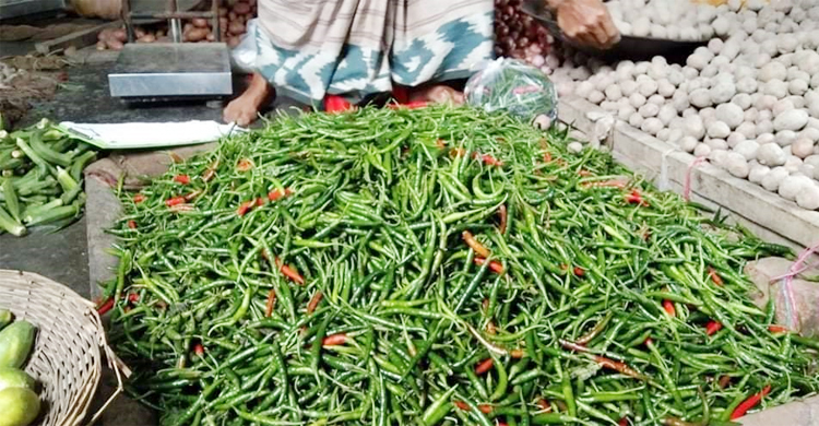 বাড়ছে কাঁচামরিচের আমদানি, কমছে দাম