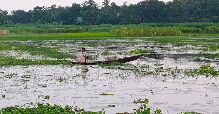 ফুপার সঙ্গে বিলে ডুবে মারা গেল ছোট্ট মারিয়াও