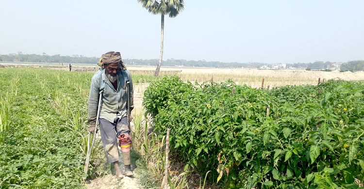 পঙ্গুত্ব জয় করে স্বাবলম্বী কৃষক বিল্লাল