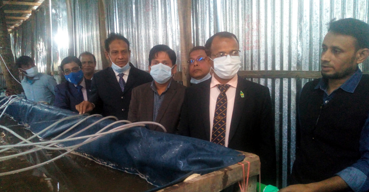 করোনায় কাজ হারিয়ে তারা এখন সফল উদ্যোক্তা