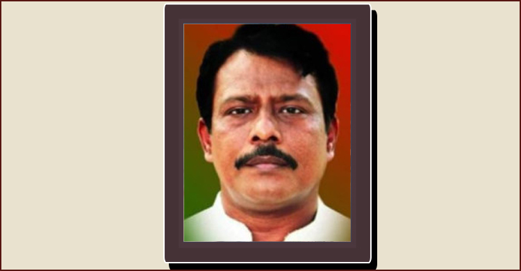 পলাশবাড়ীর মেয়র হলেন আওয়ামী লীগের বিদ্রোহী বিপ্লব