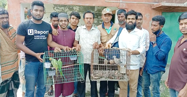 মুক্ত আকাশে উড়লো ২৩ ঘুঘু-টিয়া