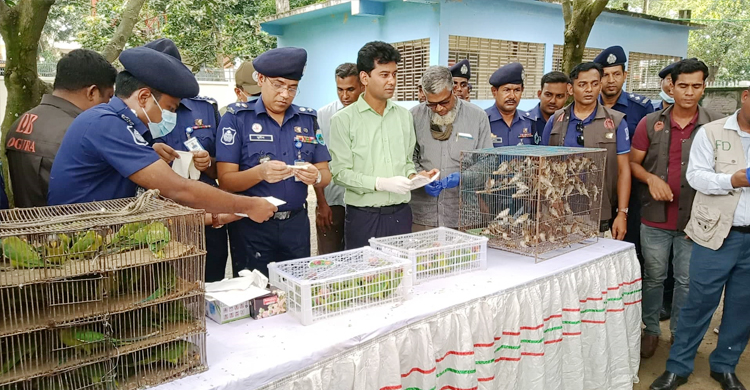 বগুড়ায় ৩১৪ পাখি অবমুক্ত, ব্যবসায়ীর কারাদণ্ড