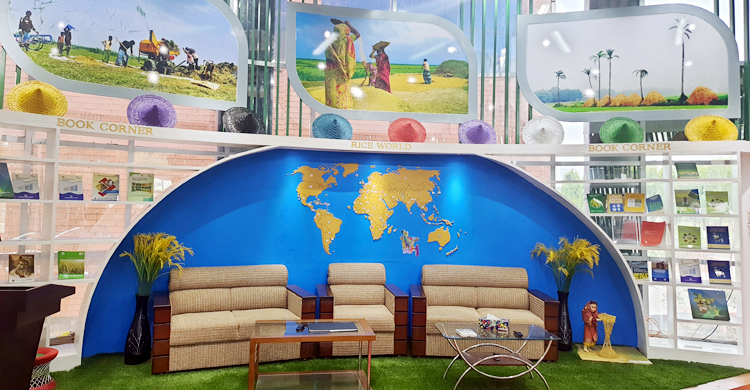 দেশের প্রথম রাইস মিউজিয়াম ব্রিতে