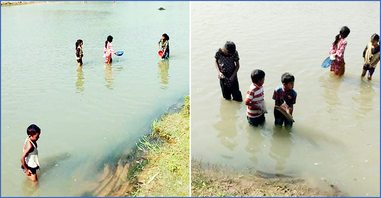 ধলাই নদীতে বিষ দিয়ে মাছ নিধন